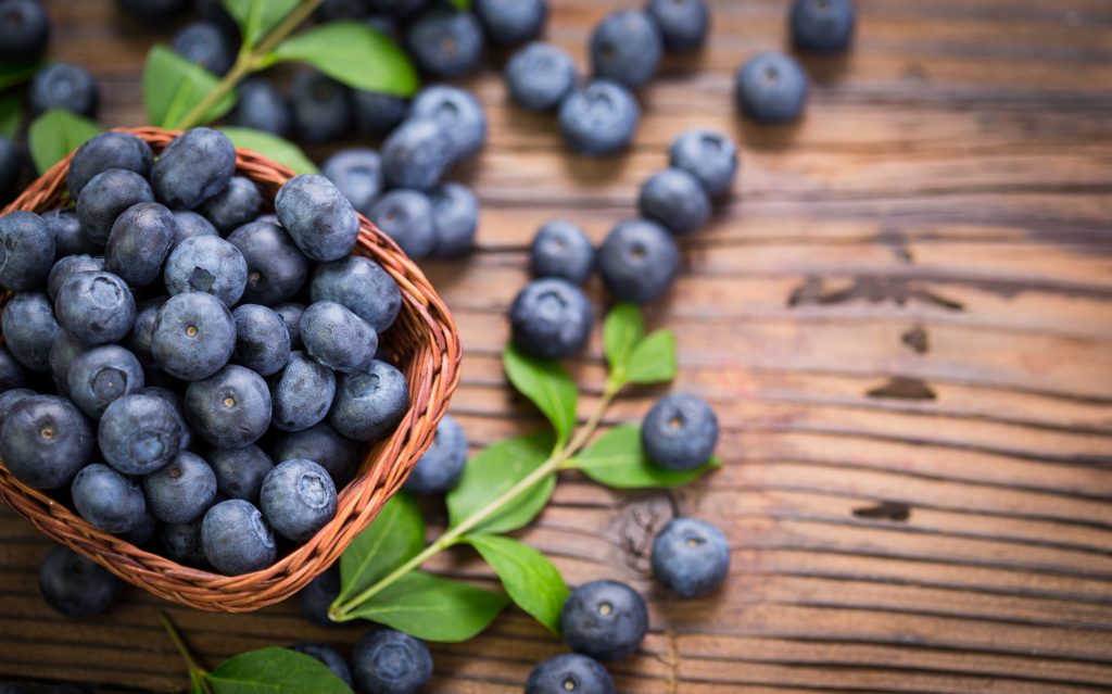 Coming Up Alyeska Resort Blueberry Festival